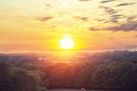 198_CR_GALLERY_TERIVPHOTOGRAPHY 198_CR_GALLERY_TERIVPHOTOGRAPHY