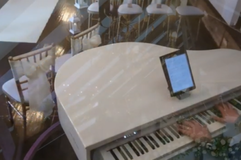 Wildest Dreams, Taylor Swift, created by MTA Events